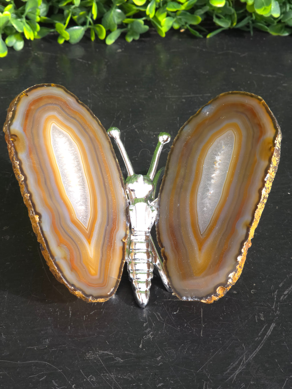 Agaat vlinder Zilver