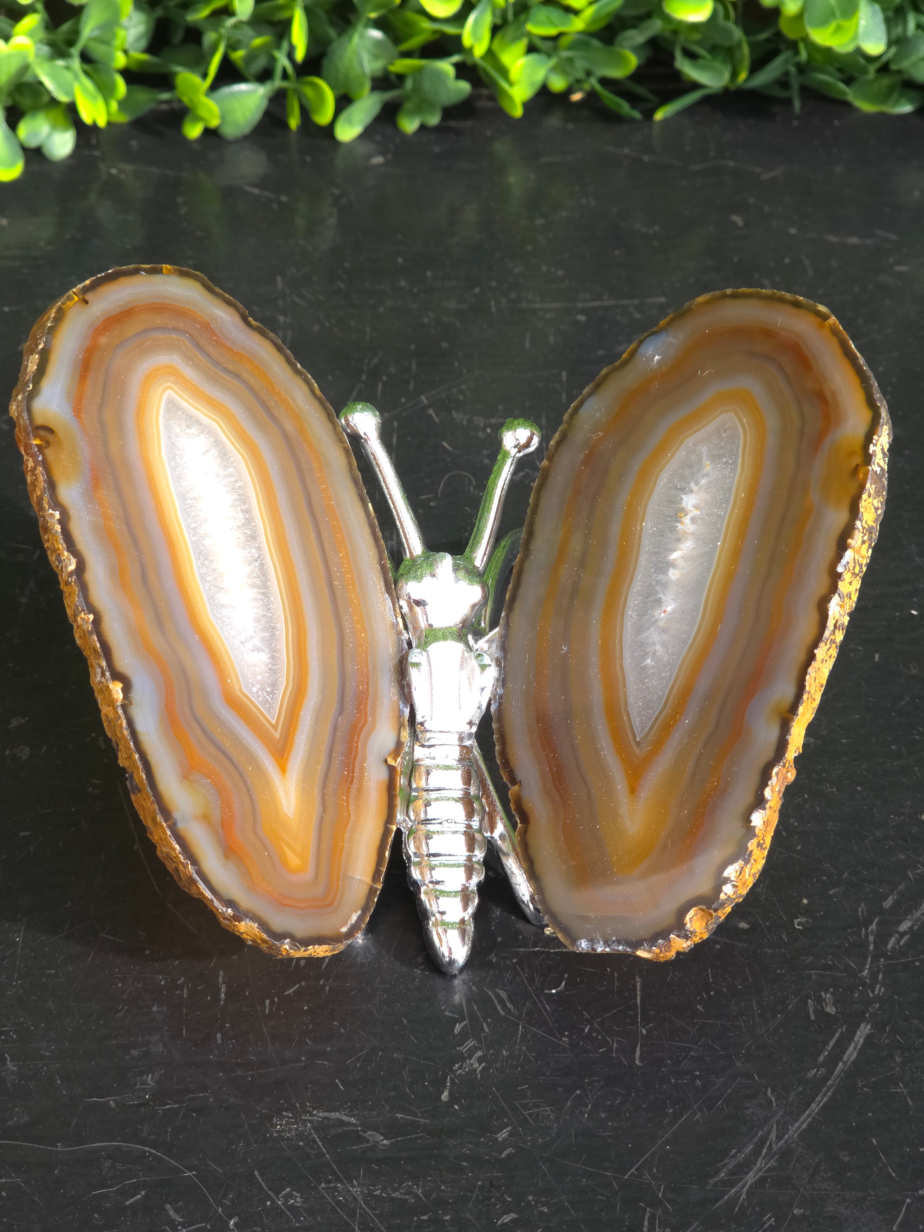 Agaat vlinder Zilver