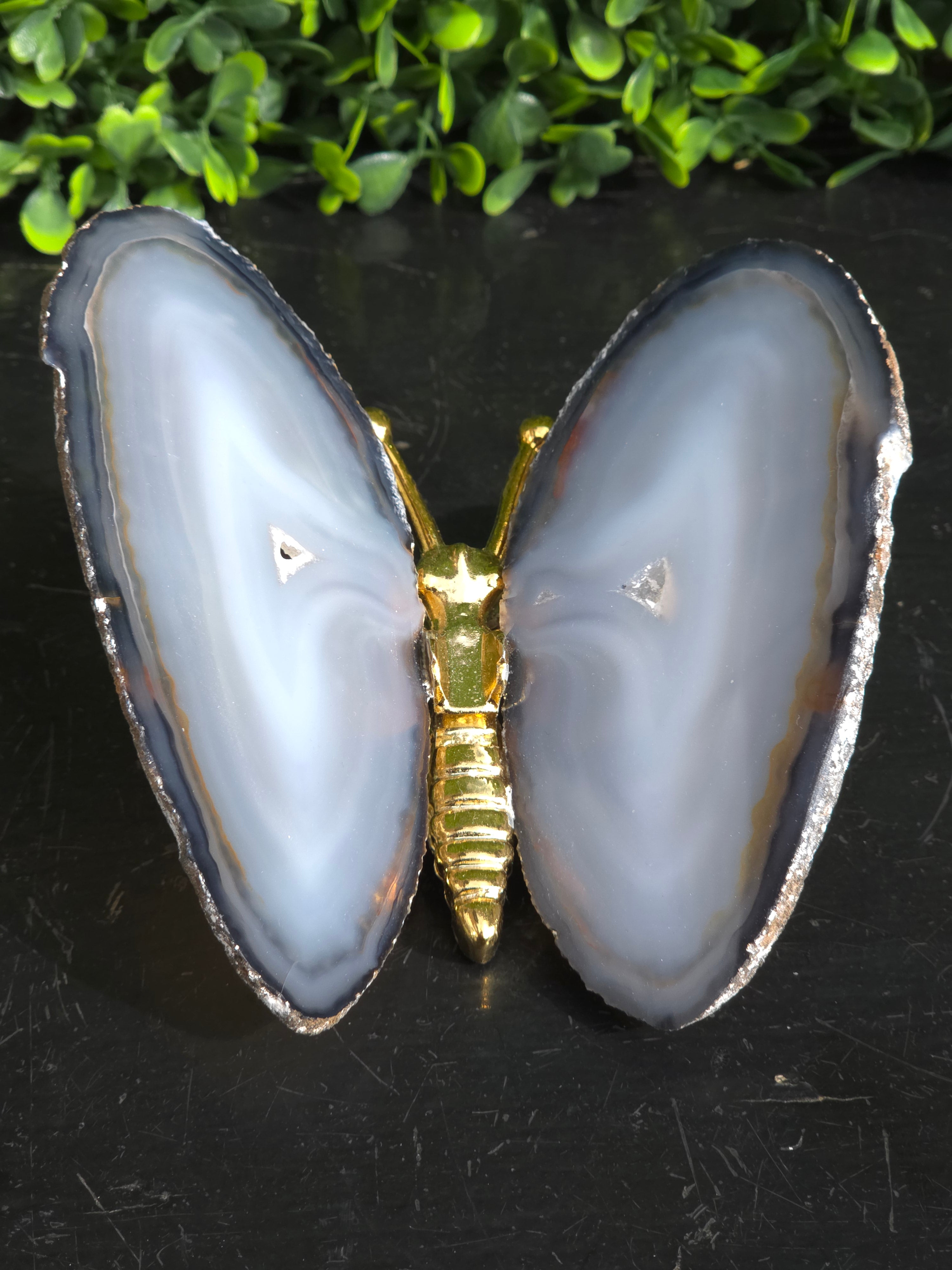 Agaat Vlinder Goud