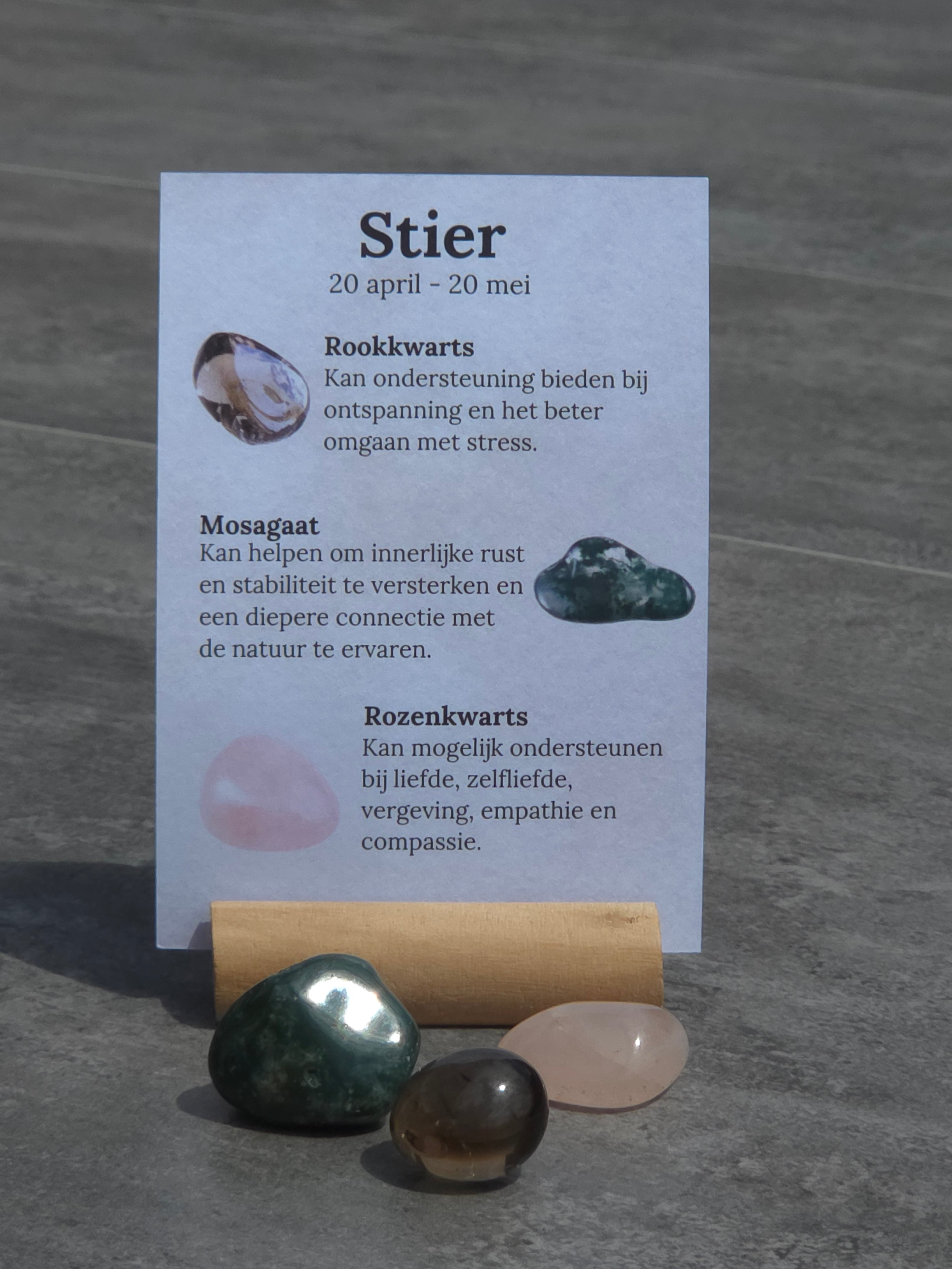 Sterrenbeeld setje Stier