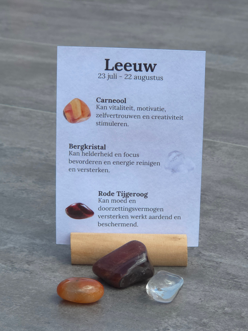 Sterrenbeeld setje Leeuw