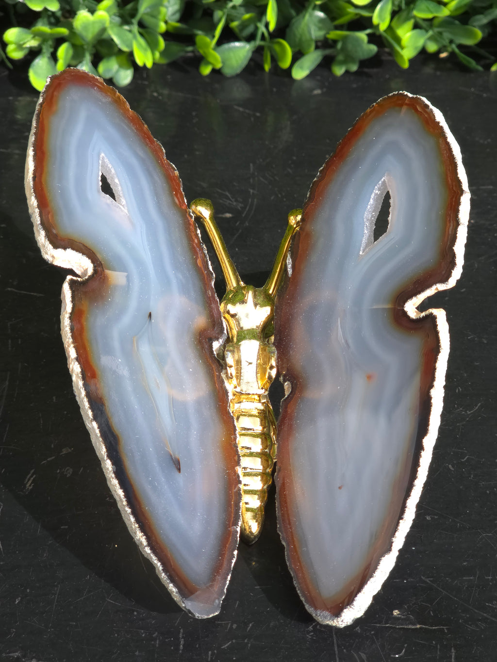 Agaat Vlinder Goud
