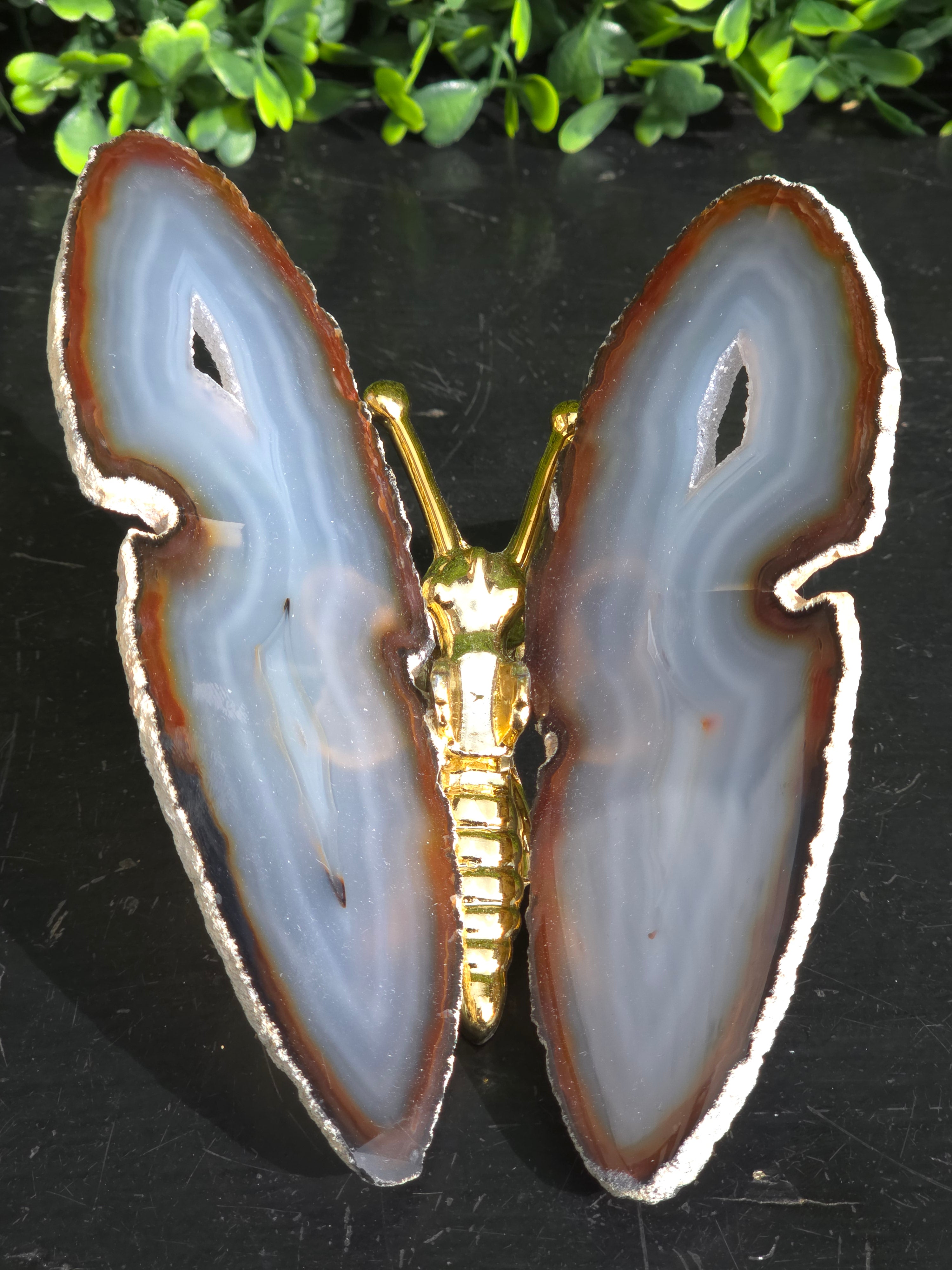 Agaat Vlinder Goud