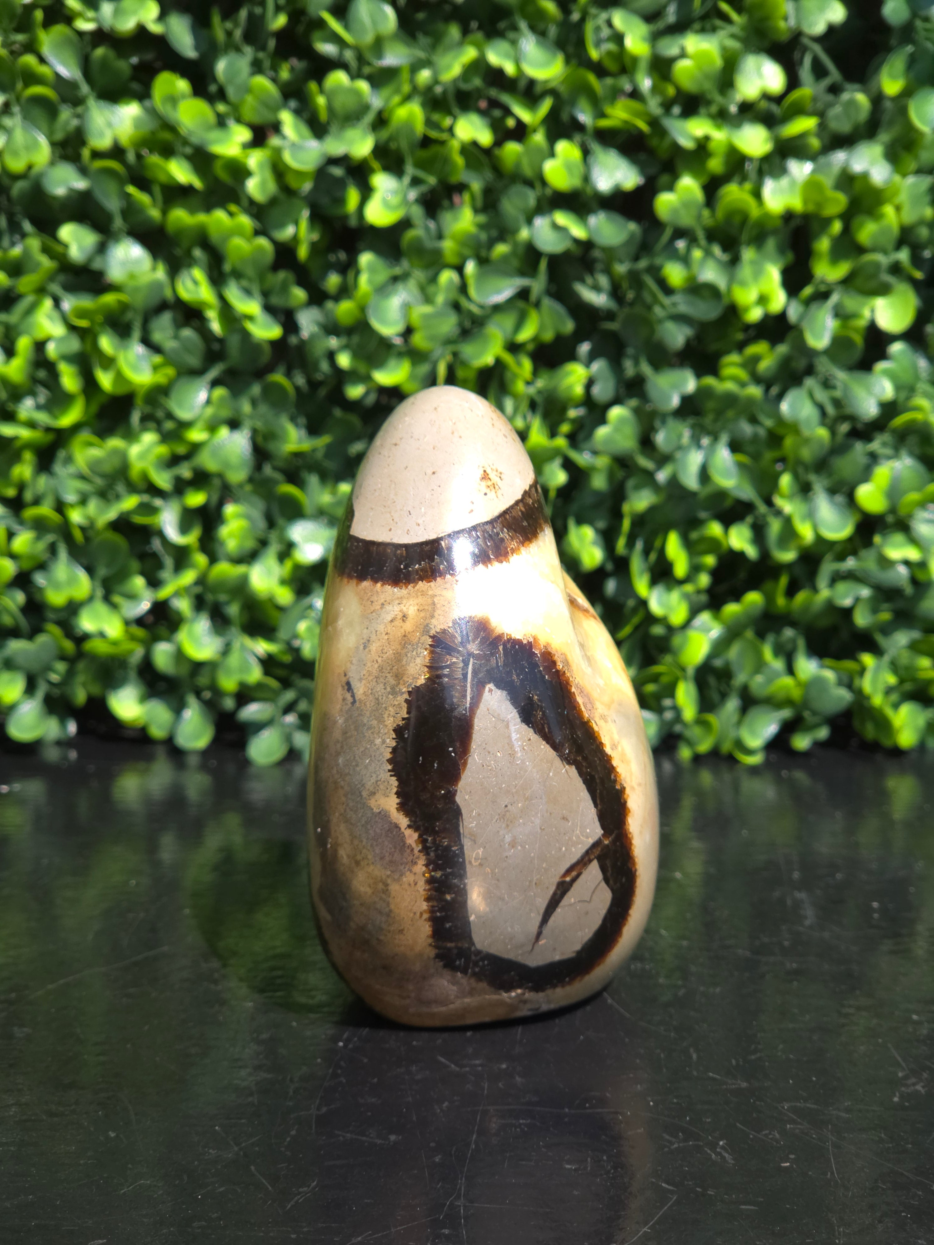 Septarie freeform