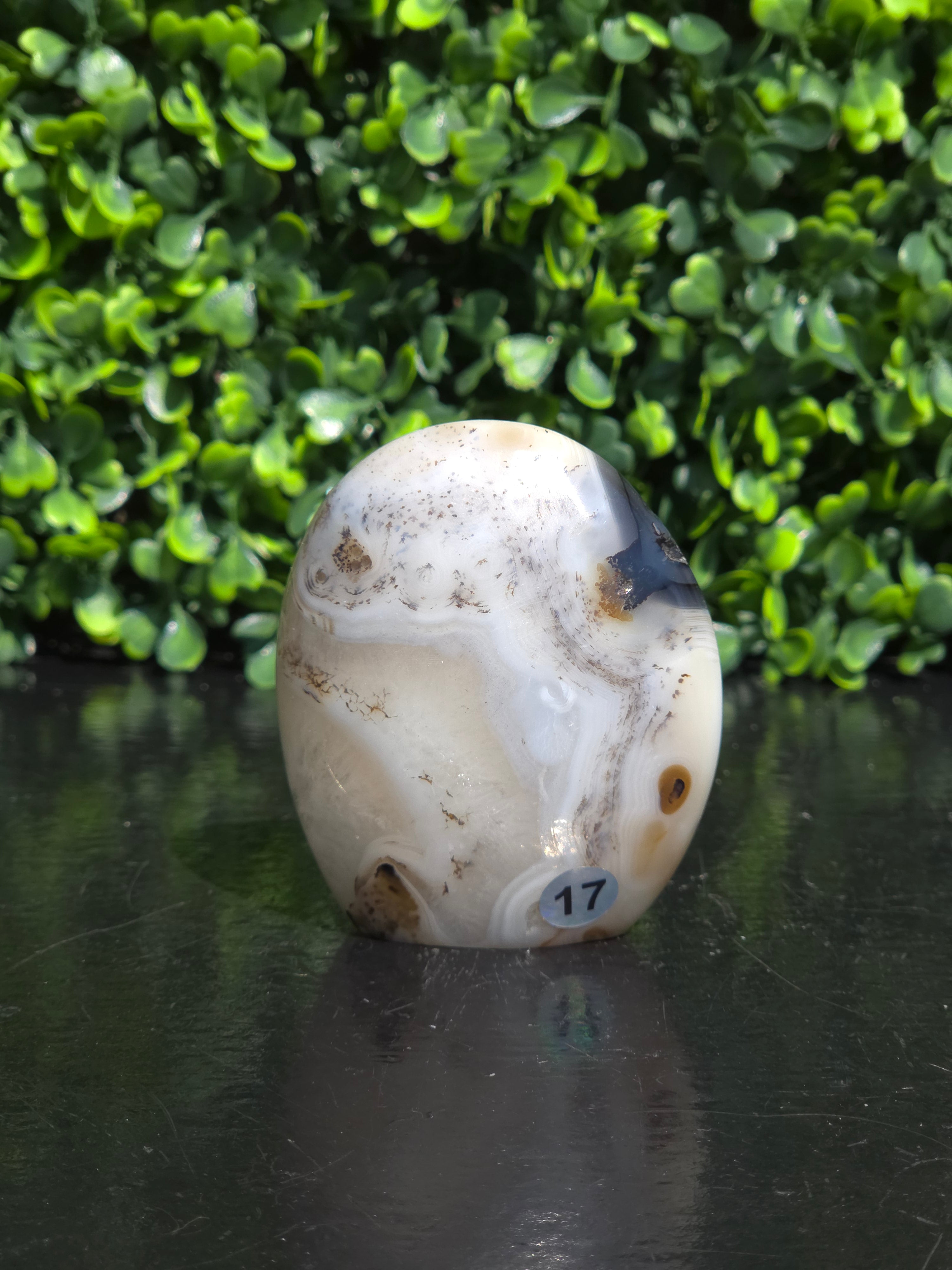 Dendriet agaat freeform