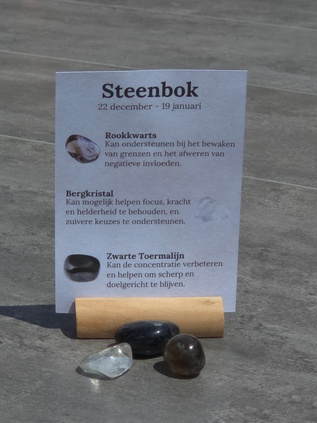 Sterrenbeeld setje Steenbok