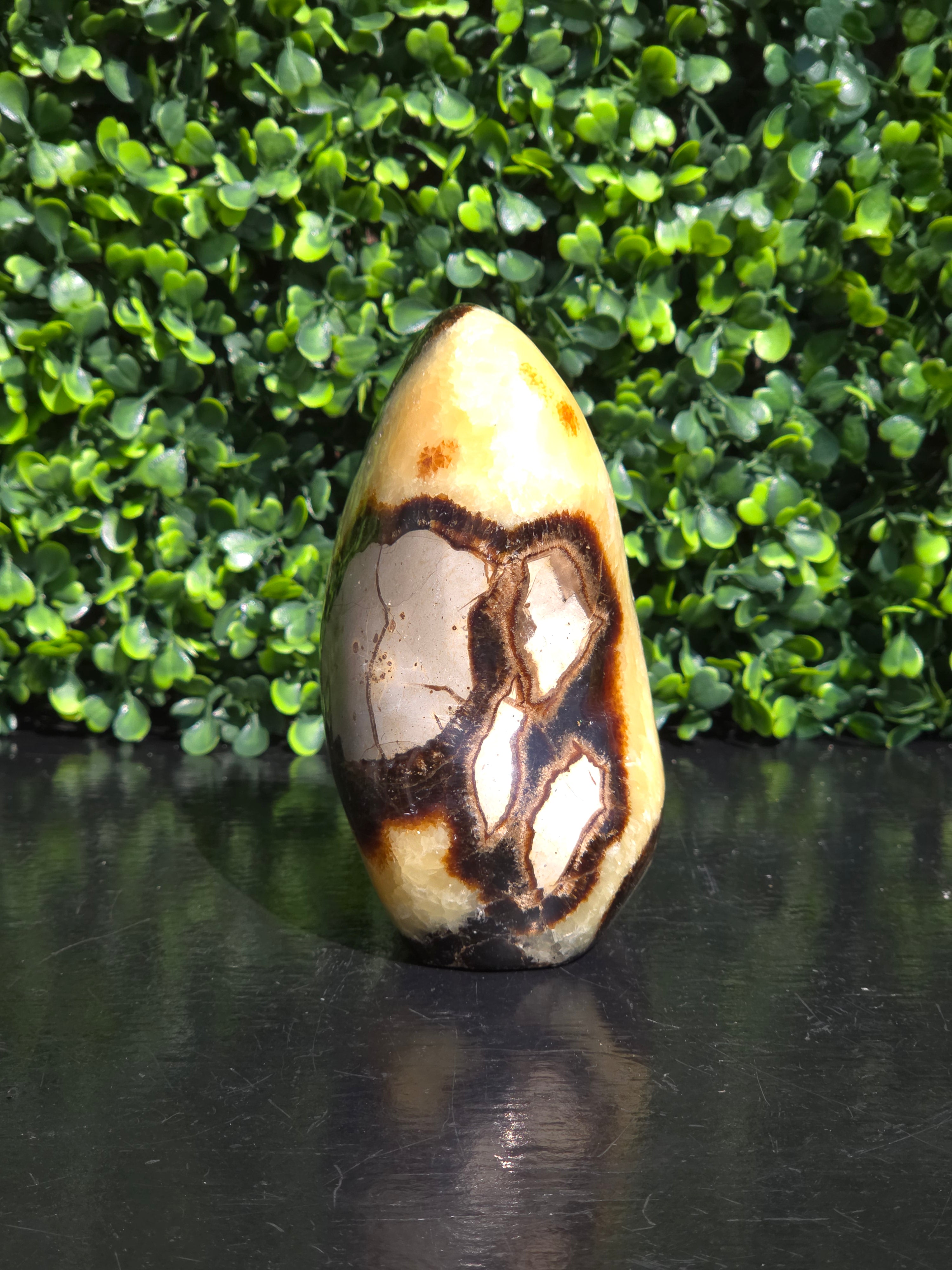 Septarie freeform
