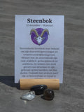 Sterrenbeeld setje Steenbok