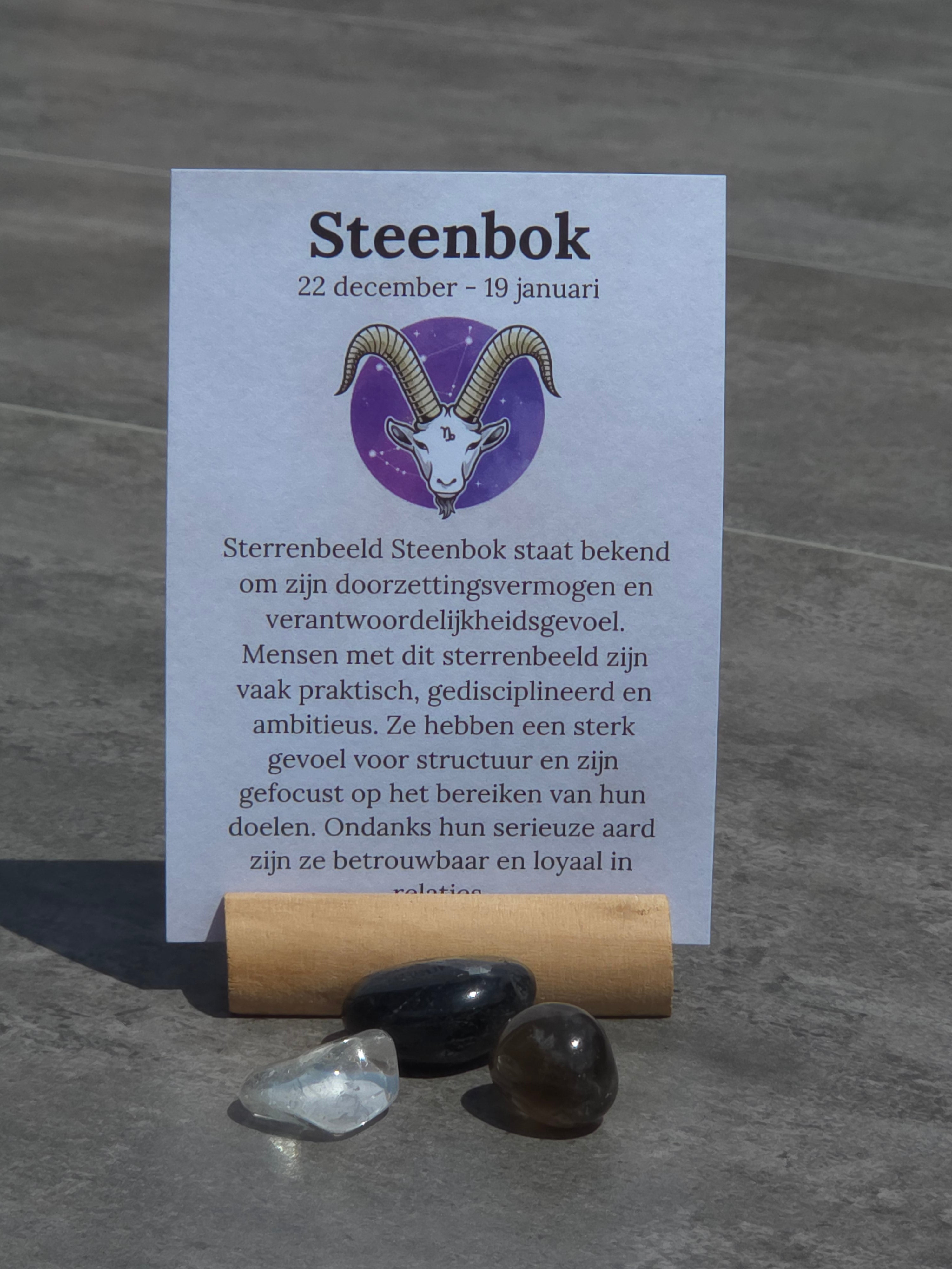 Sterrenbeeld setje Steenbok