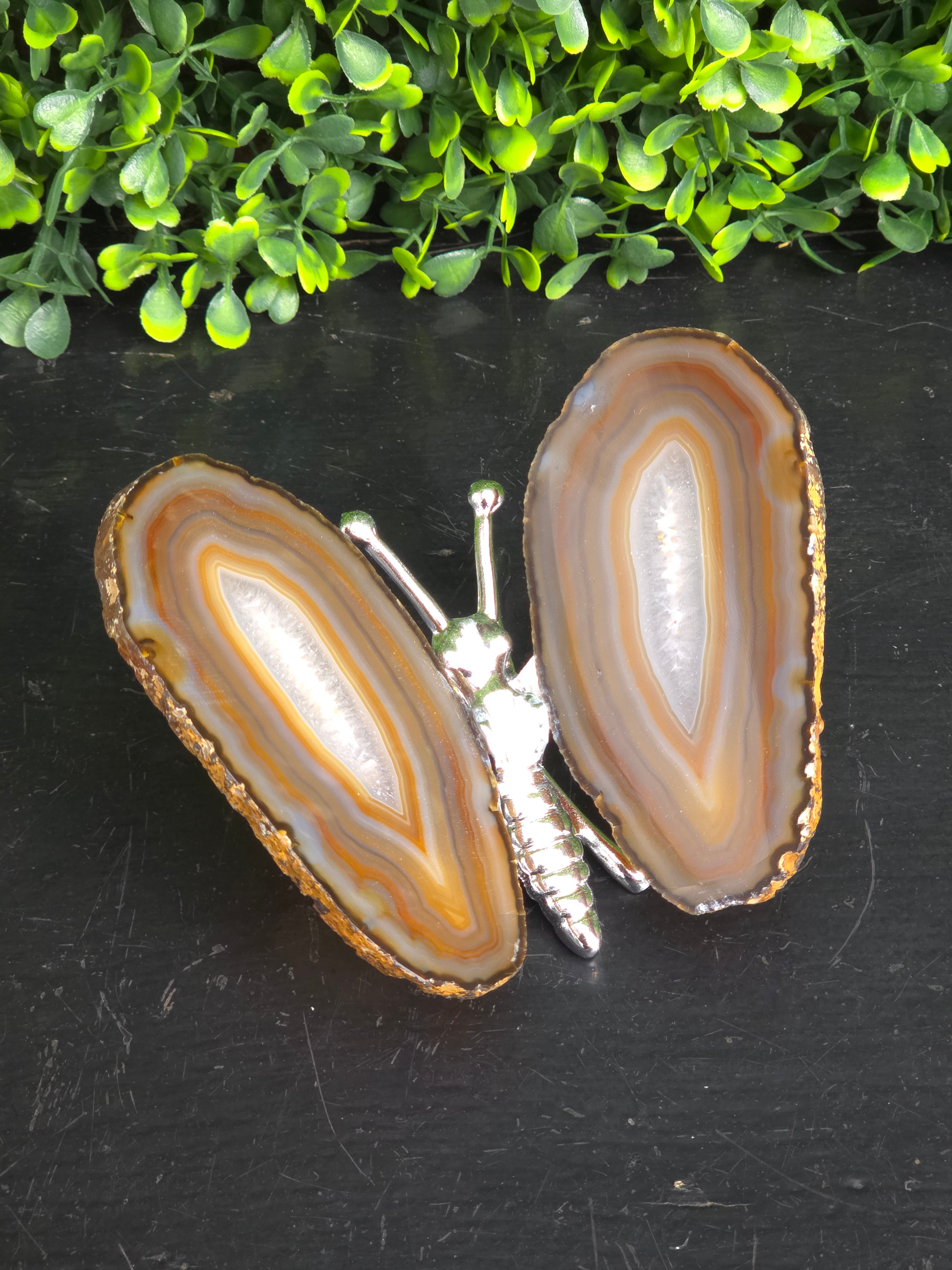 Agaat vlinder Zilver
