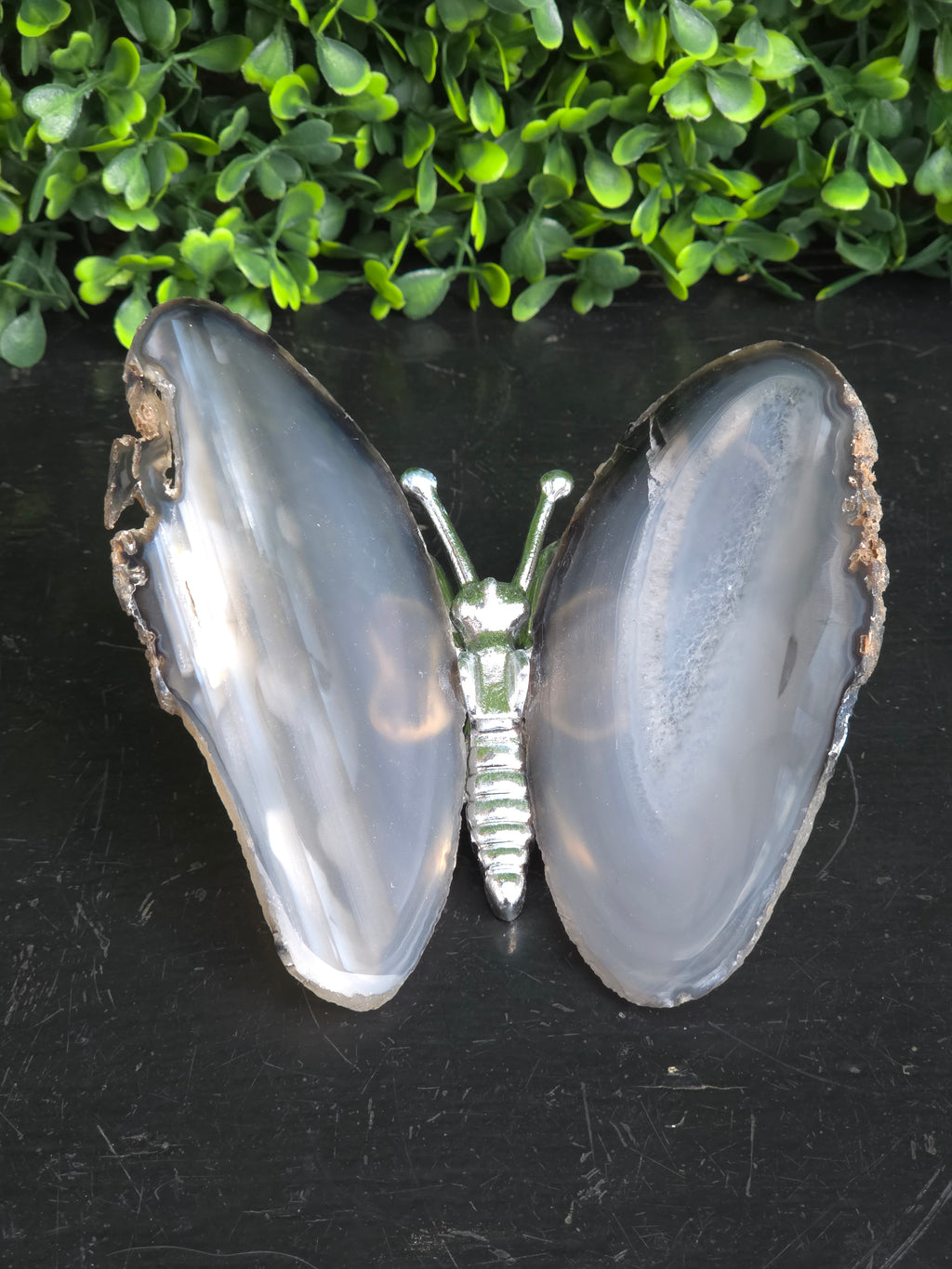 Agaat Vlinder Zilver