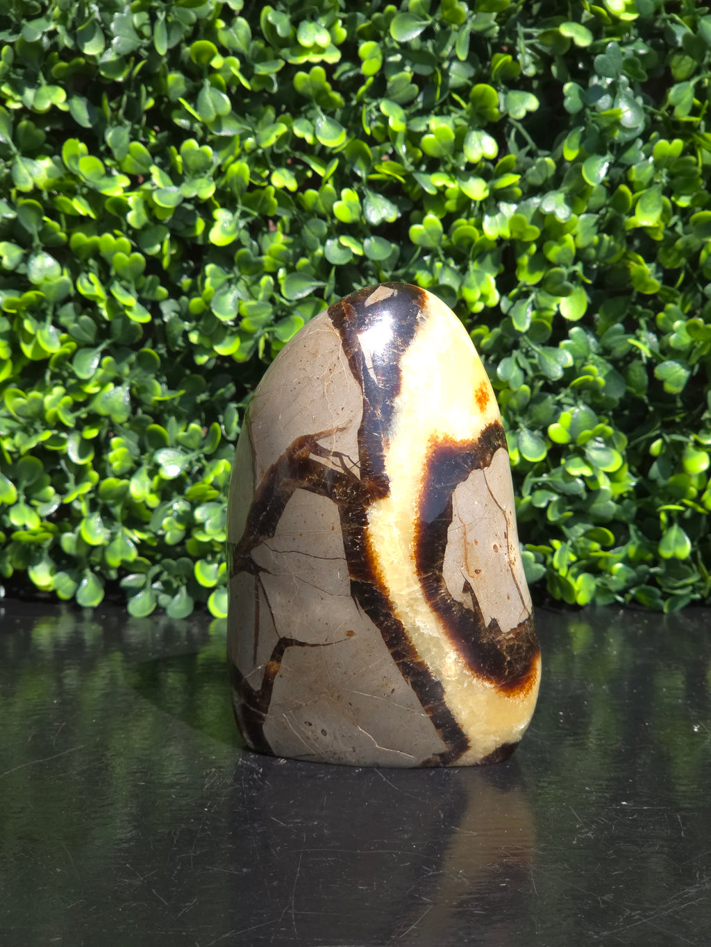 Septarie freeform
