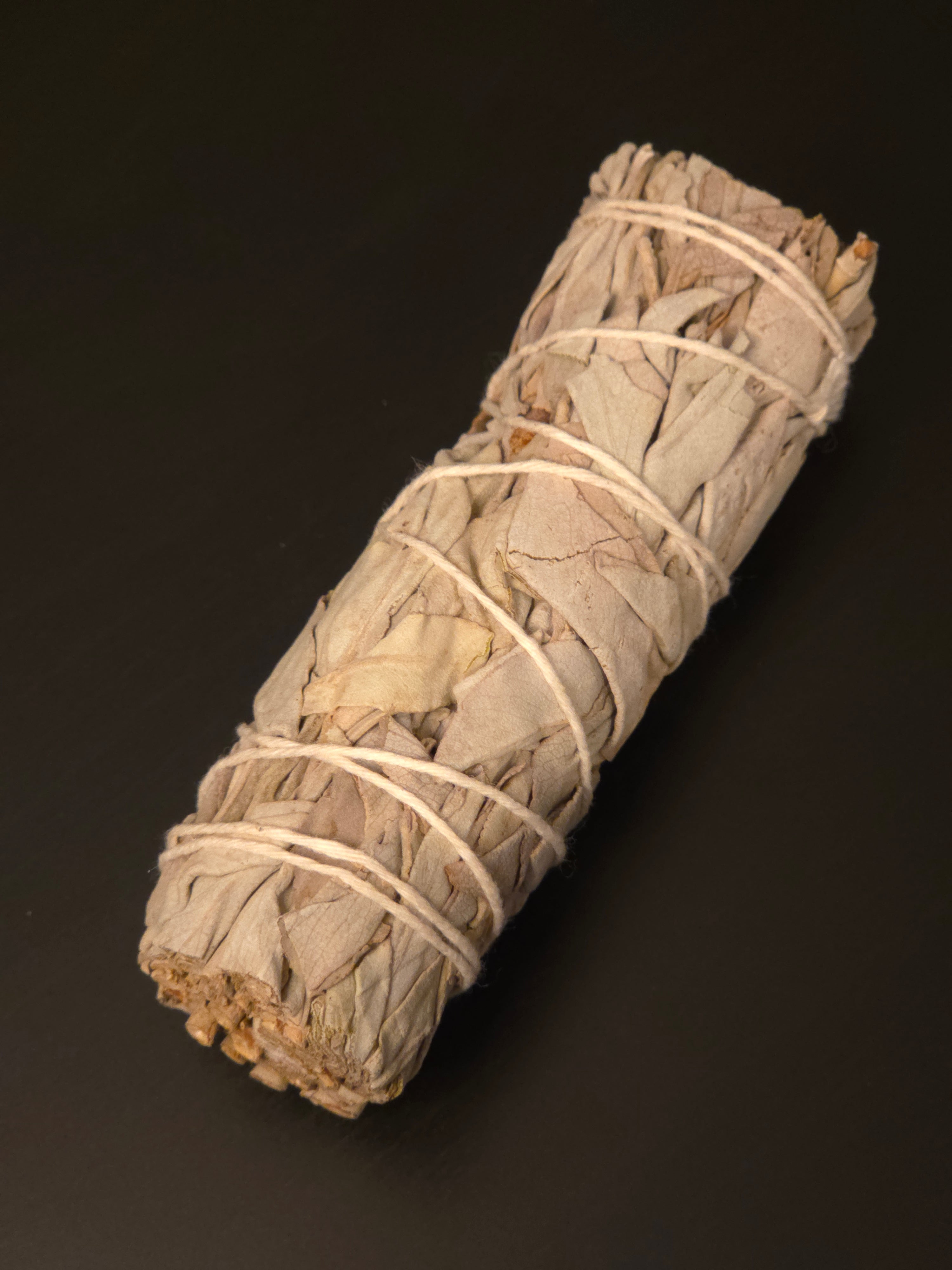 Witte salie smudge stick