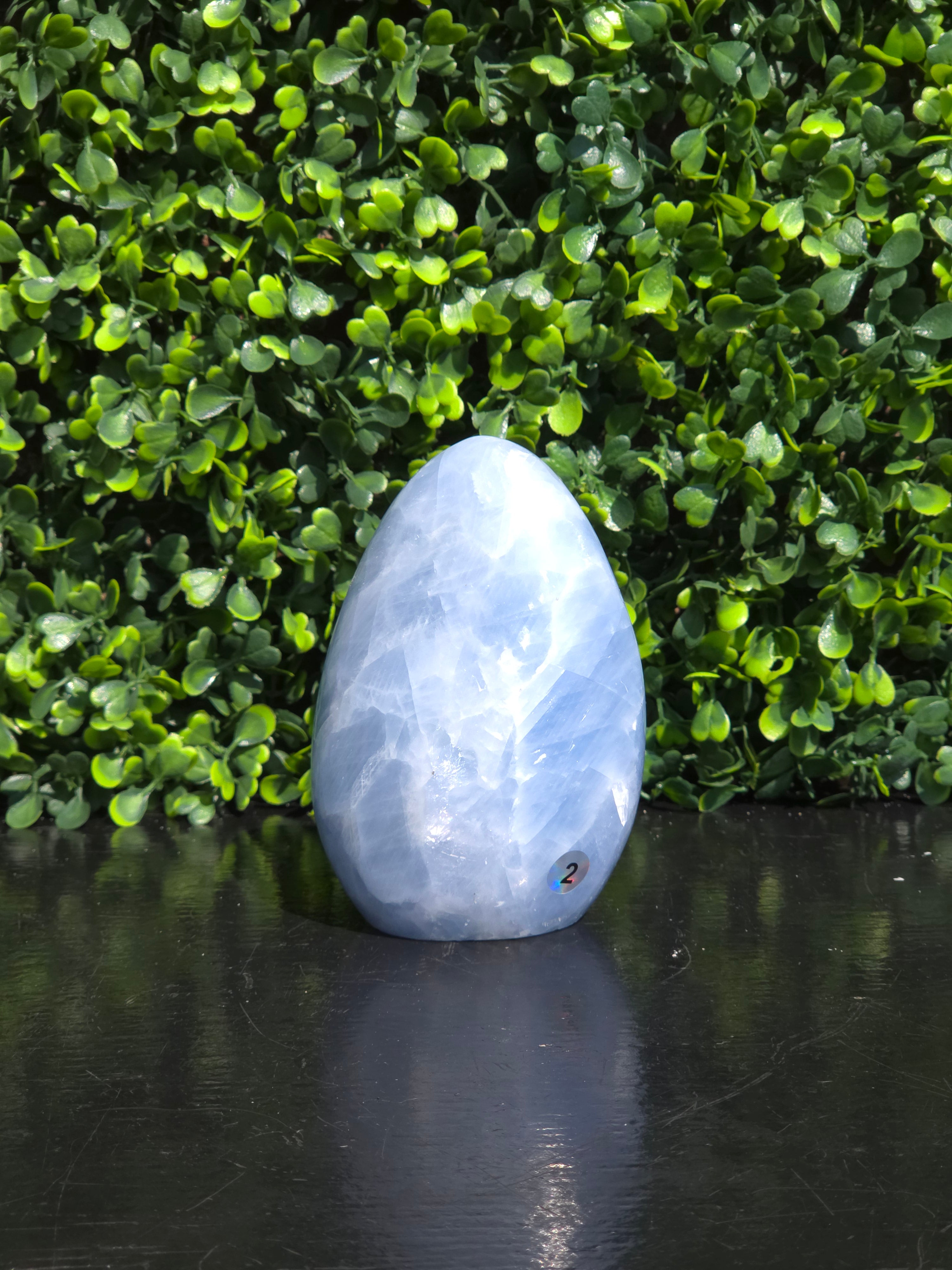 Calciet freeform