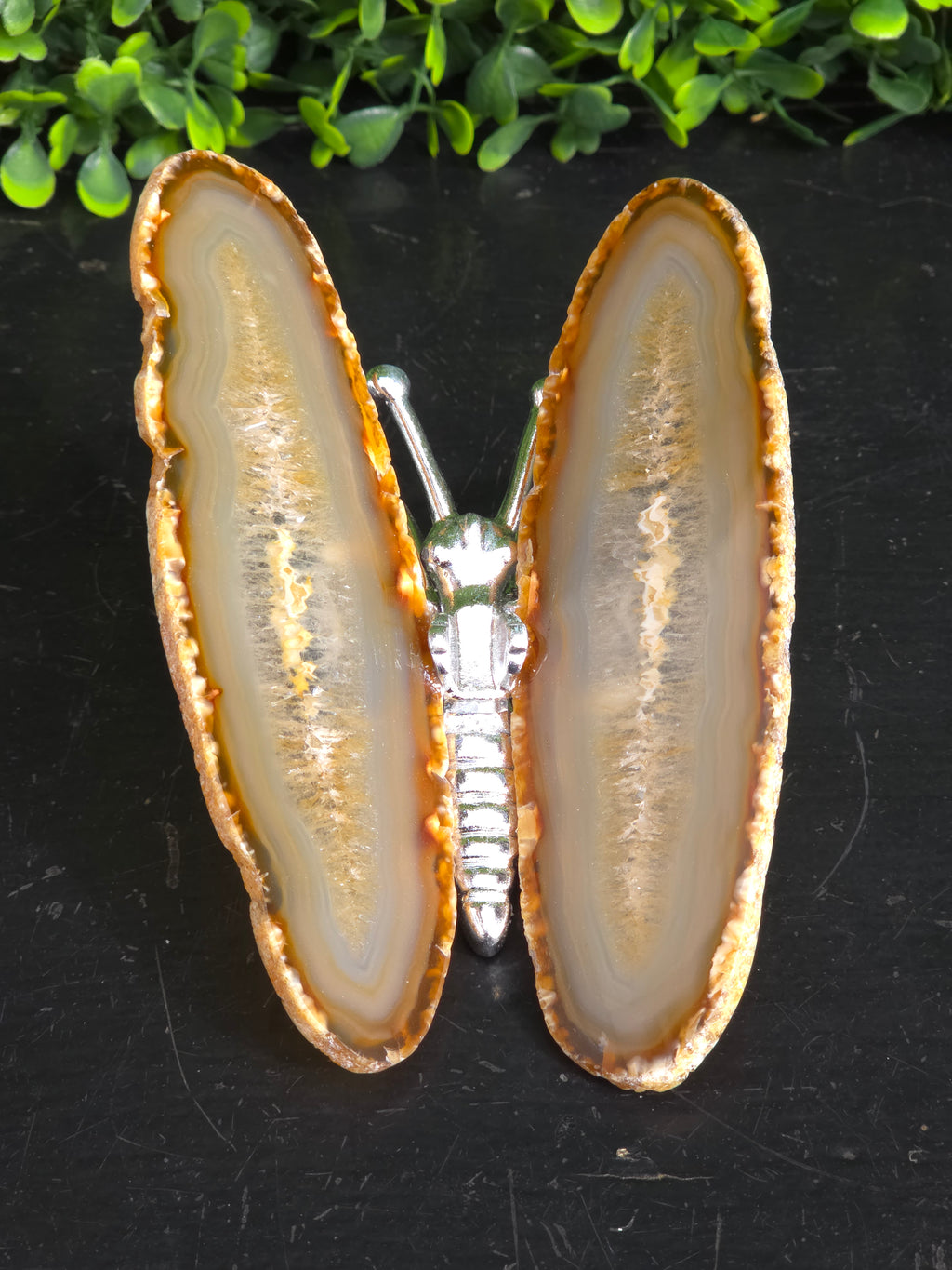 Agaat vlinder Zilver