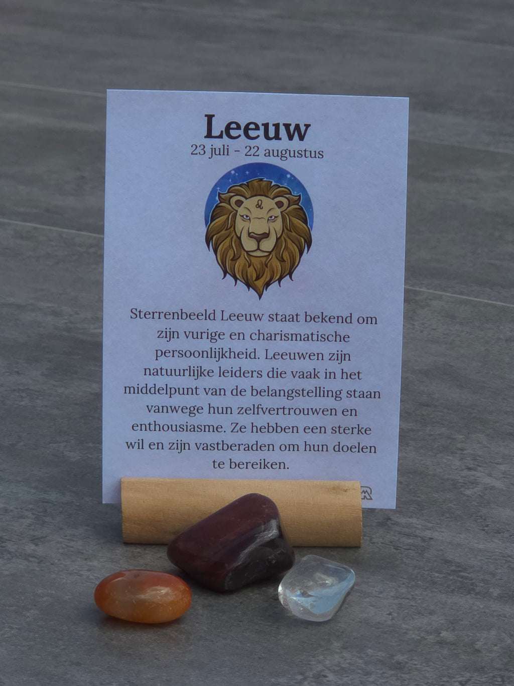 Sterrenbeeld setje Leeuw