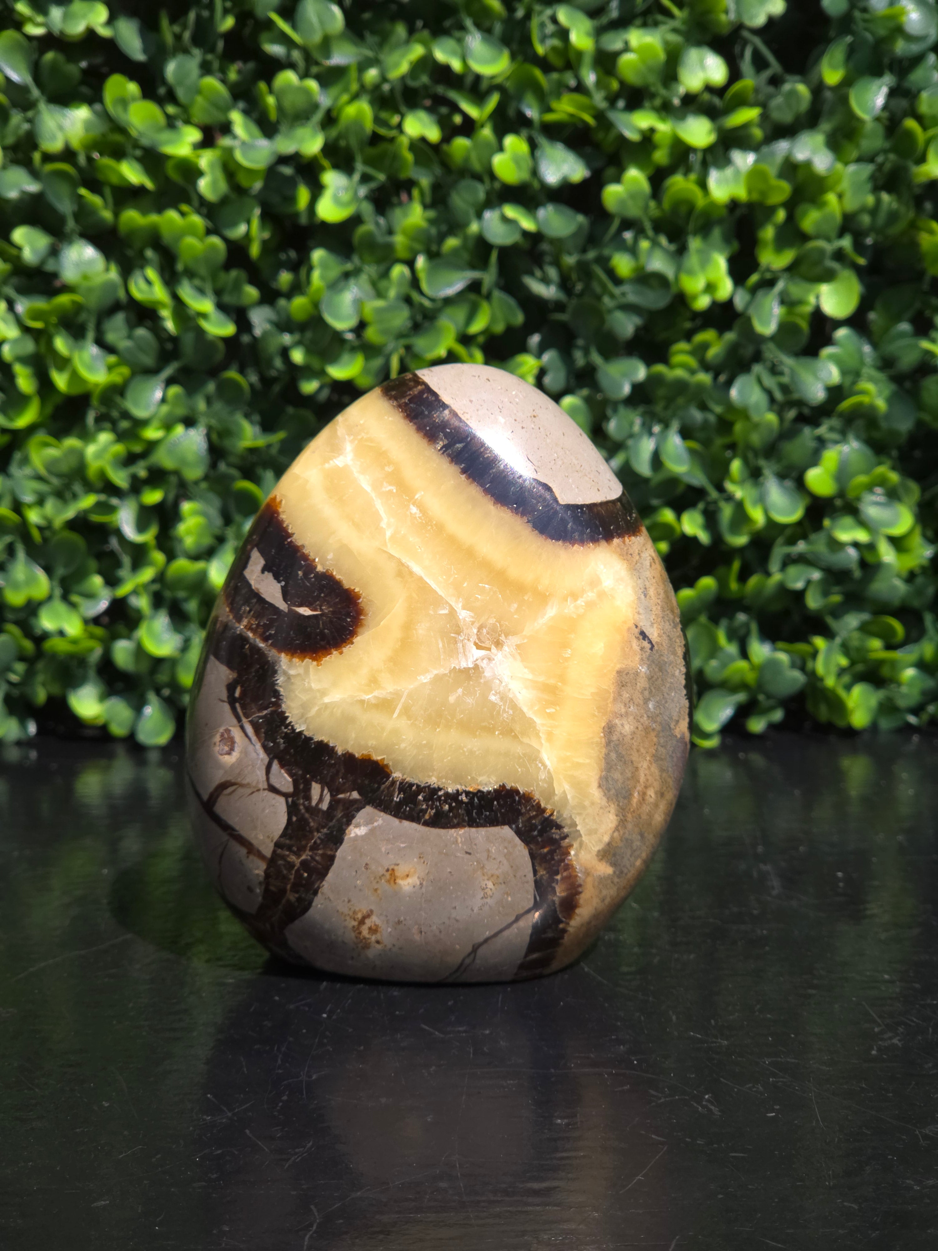 Septarie freeform