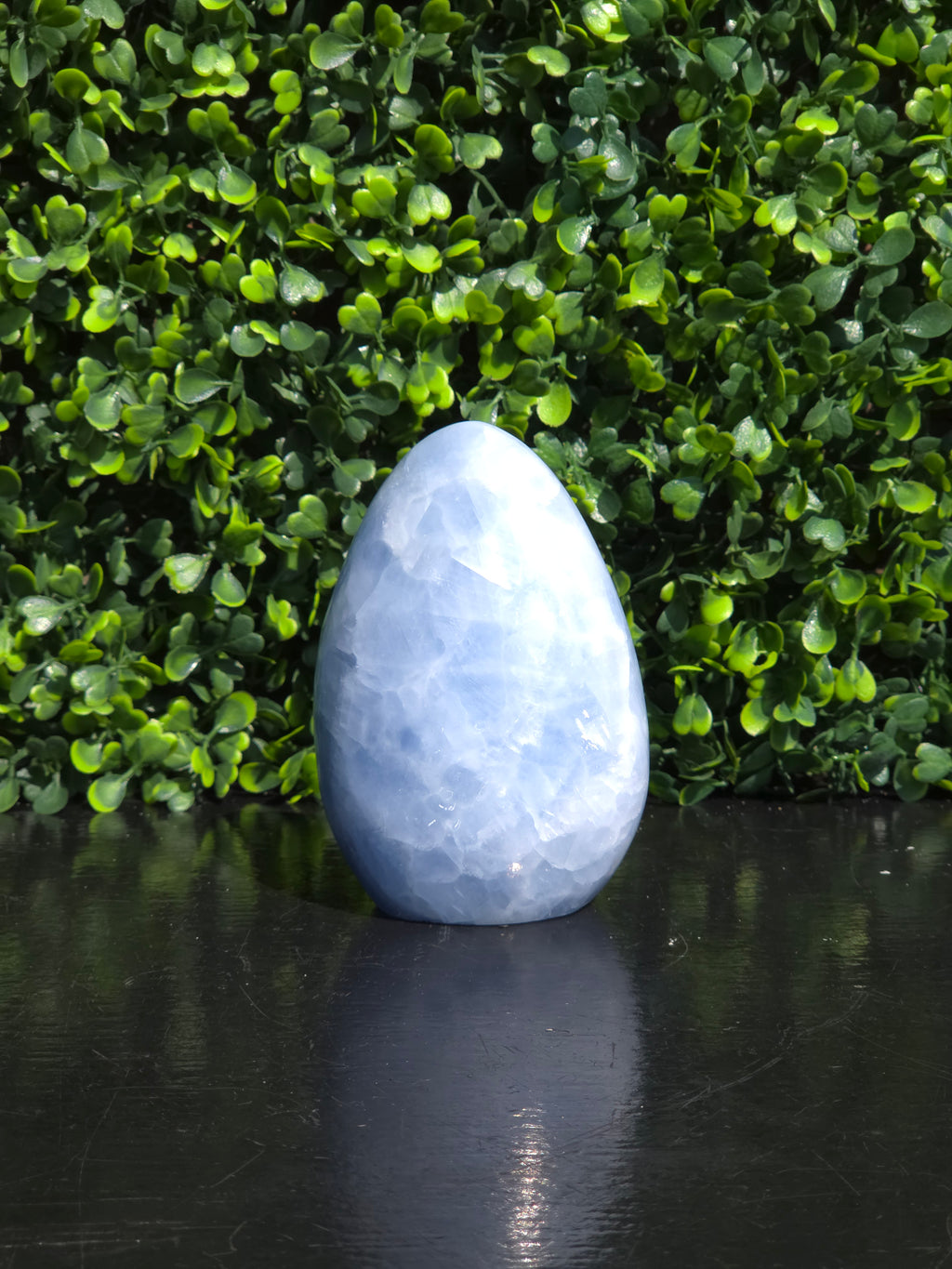 Calciet freeform